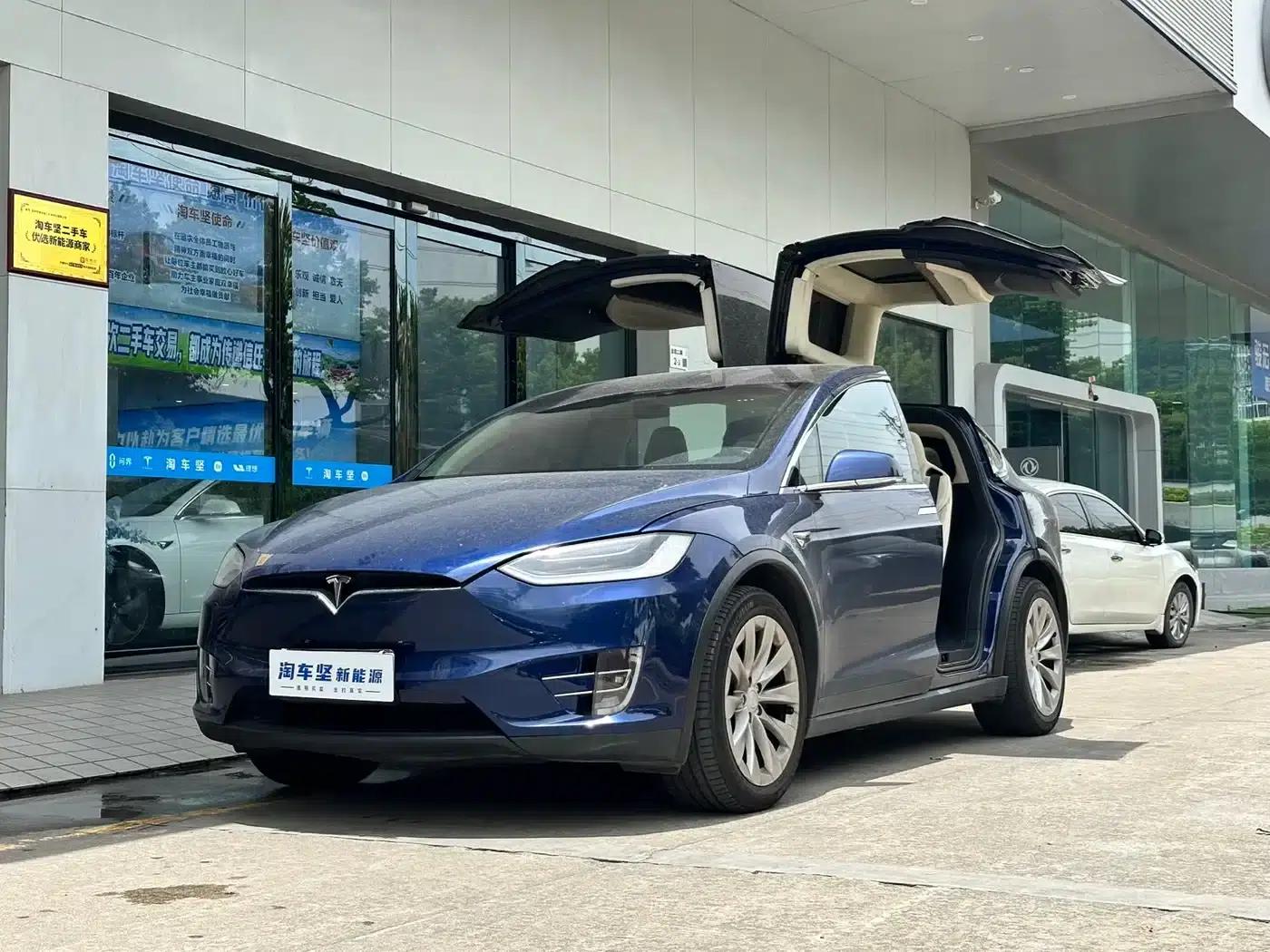 2017 Model X 100D Long Range — миниатюра 1