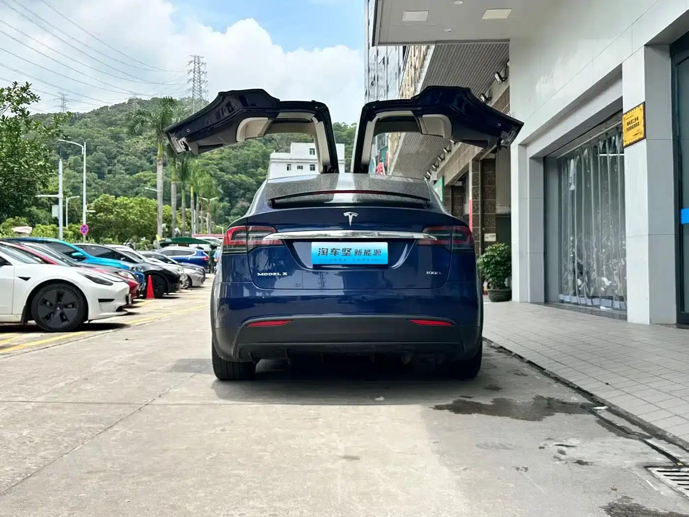 2017 Model X 100D Long Range — миниатюра 5