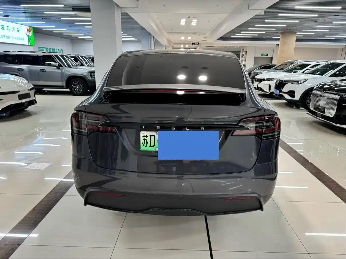2023 Model X Dual Motor All-Wheel Drive — миниатюра 3