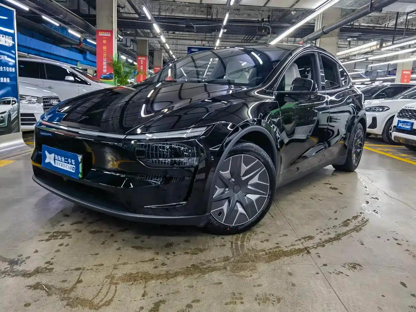 Model Y L 2025 Long Range All-Wheel Drive — миниатюра 1