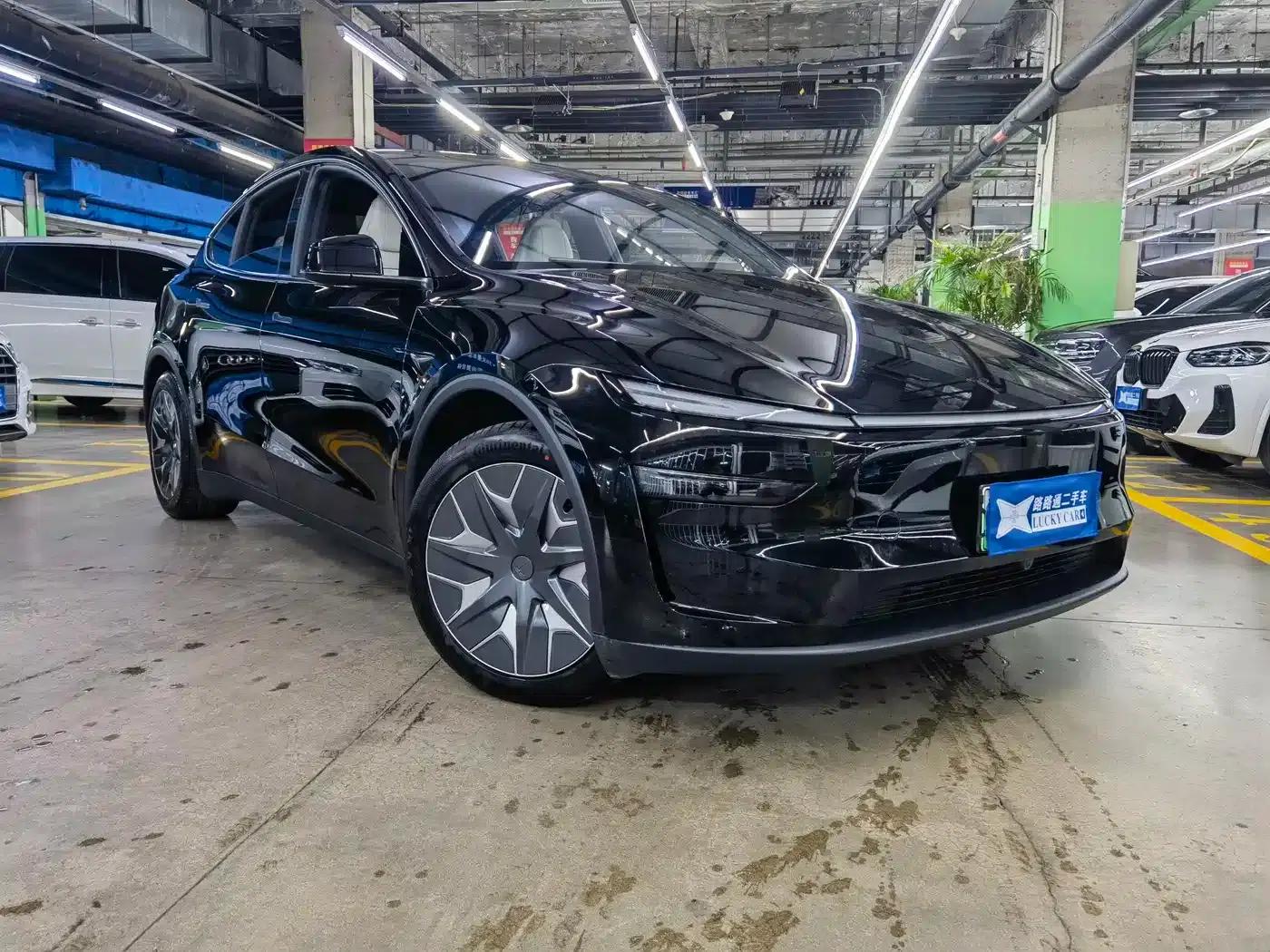 Model Y L 2025 Long Range All-Wheel Drive — миниатюра 3