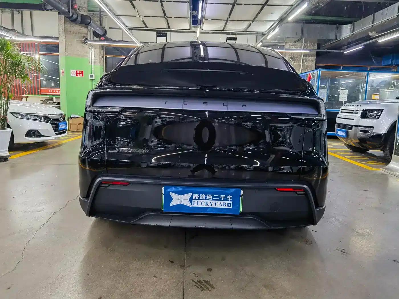 Model Y L 2025 Long Range All-Wheel Drive — миниатюра 5