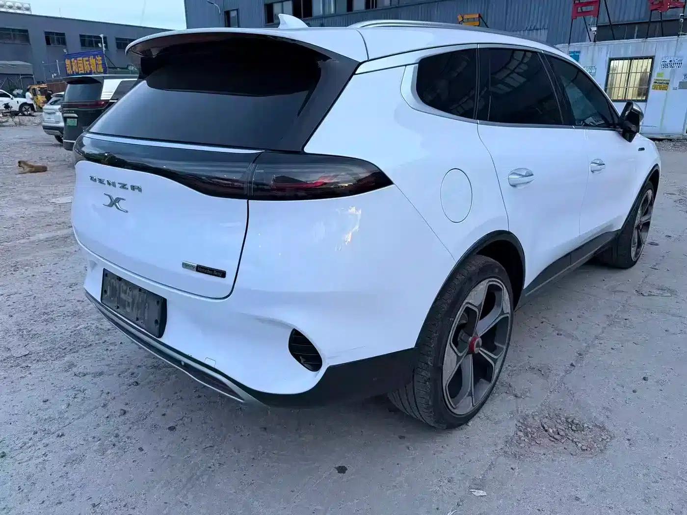 Denza X 2020 PHEV Flagship Edition — миниатюра 9