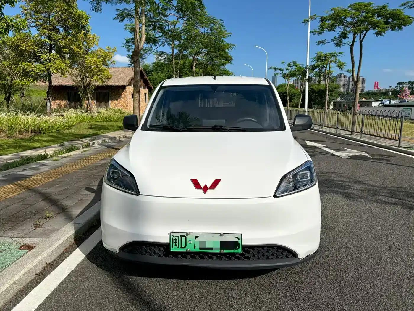 Wuling Hongguang New Energy 2024 Pure Electric Version 300KM Standard Edition — миниатюра 2