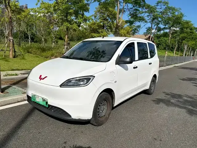 Wuling Hongguang New Energy 2024 Pure Electric Version 300KM Standard Edition