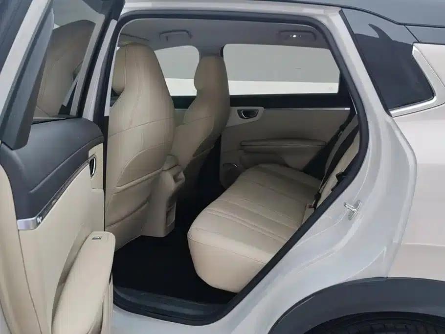 Bingo S 2025 Flagship Model 325km — миниатюра 11