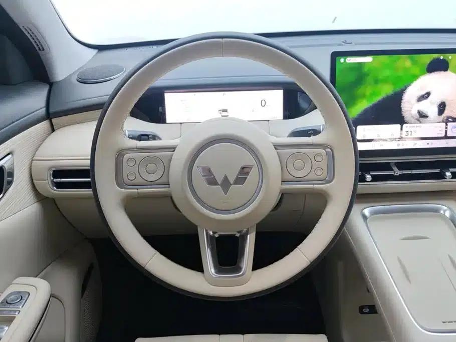 Bingo S 2025 Flagship Model 325km — миниатюра 15