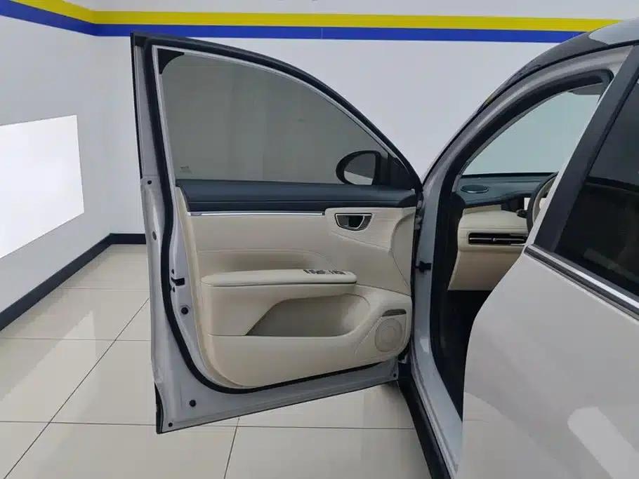 Bingo S 2025 Flagship Model 325km — миниатюра 7