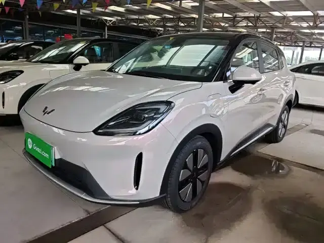 Bingo S 2025 430km Premium Edition