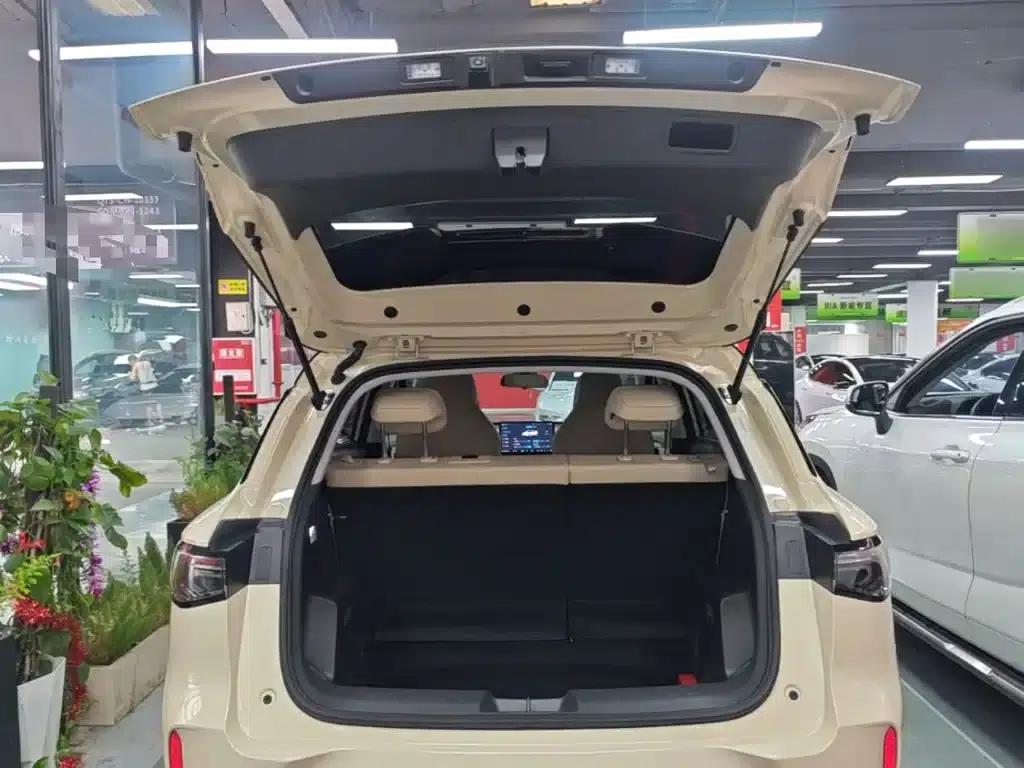 Bingo S 2025 Model 325km Premium Edition — миниатюра 19