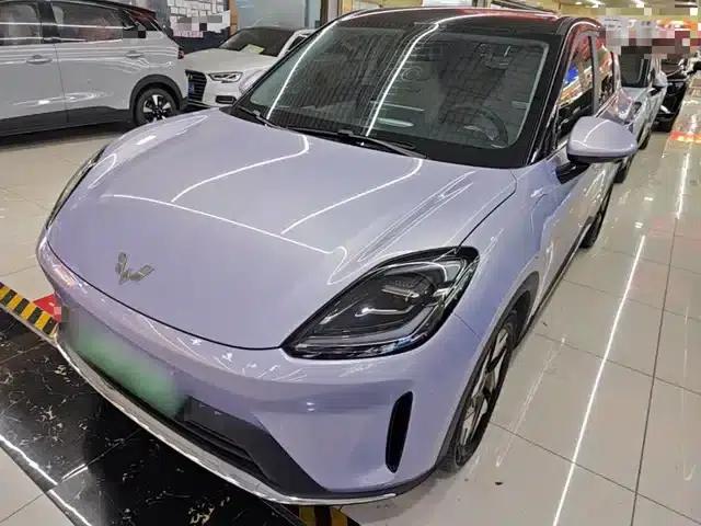 Bingo S 2025 Flagship Model 430km