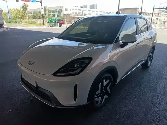 Bingo S 2025 Flagship Model 430km