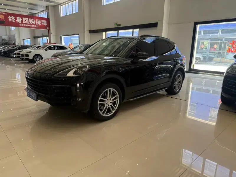 2022 Cayenne 3.0T Platinum Edition — миниатюра 9