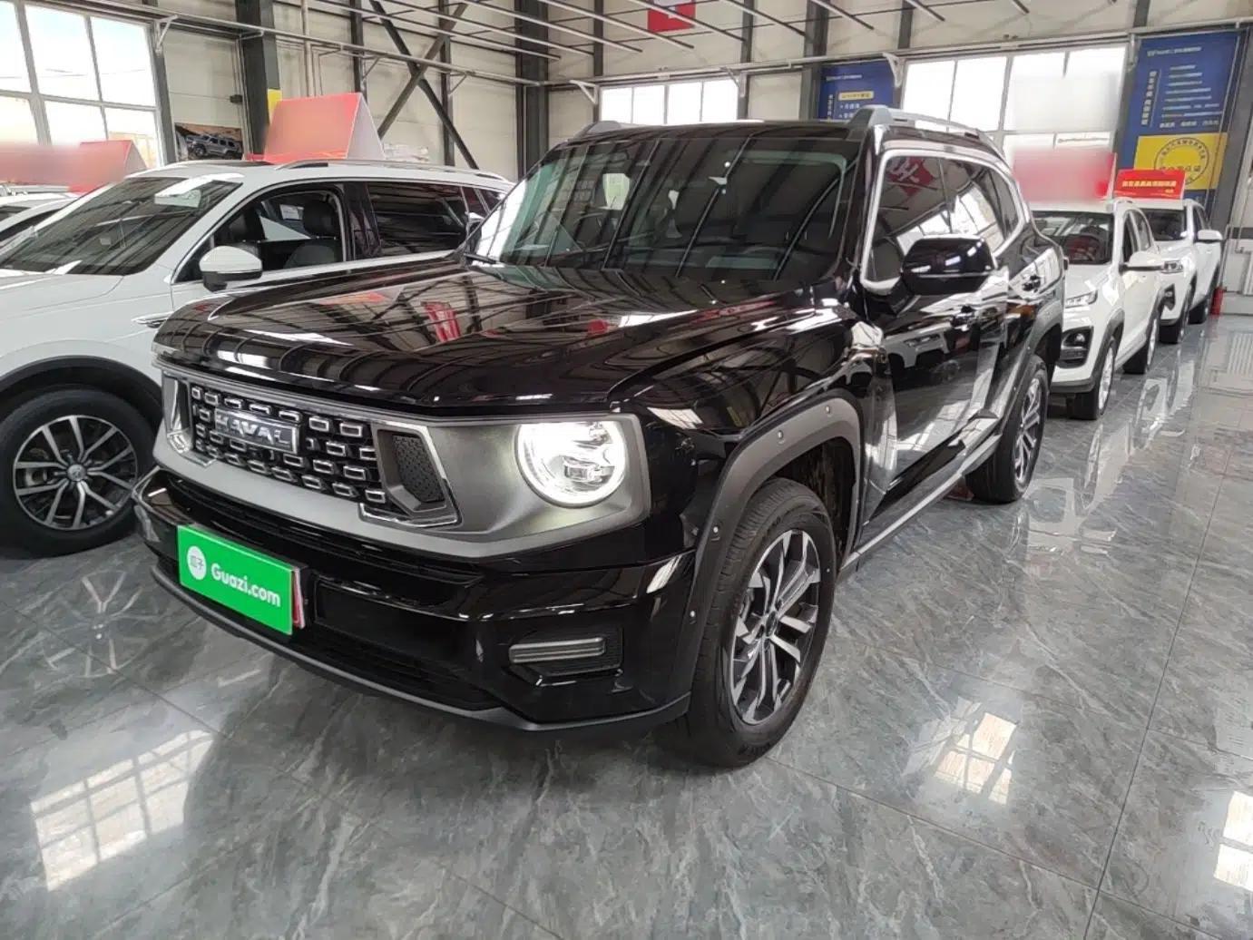 Haval H Dog 2023 2.0T All-Wheel-Drive Chaoye Plus — миниатюра 1