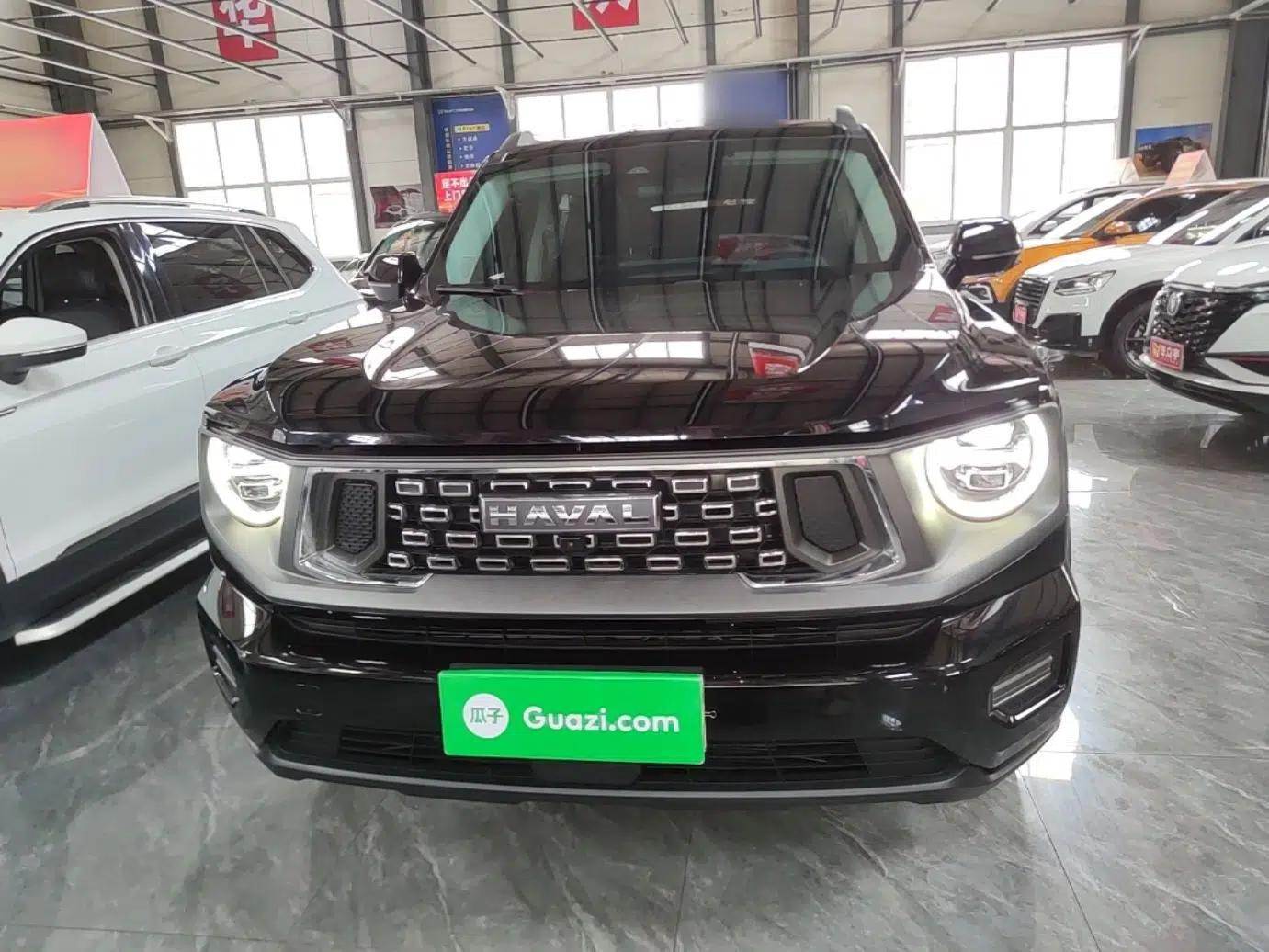 Haval H Dog 2023 2.0T All-Wheel-Drive Chaoye Plus — миниатюра 2