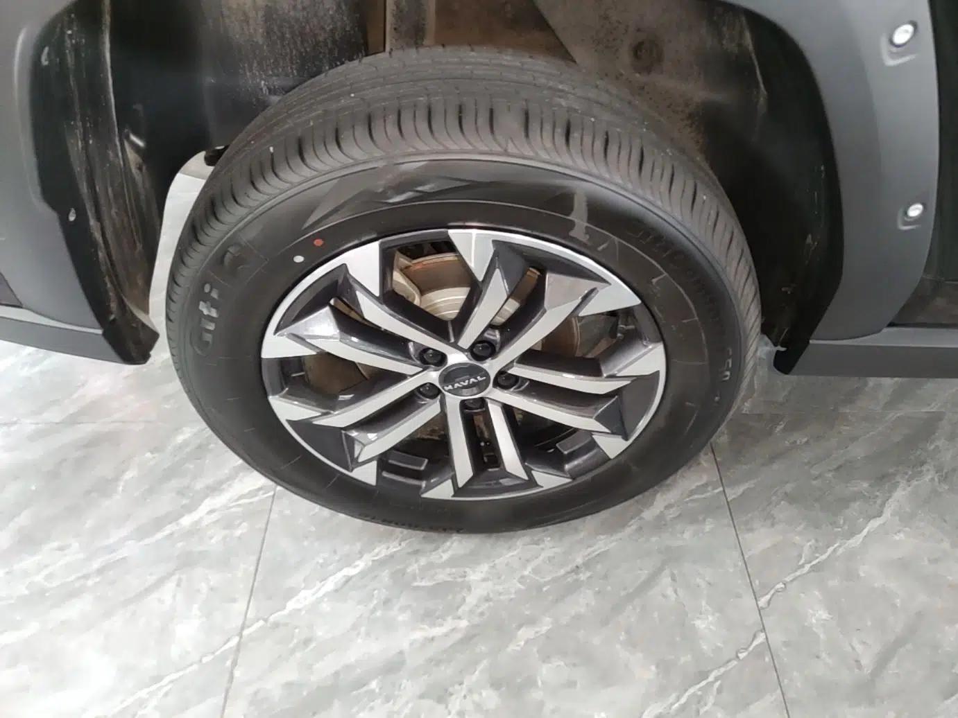 Haval H Dog 2023 2.0T All-Wheel-Drive Chaoye Plus — миниатюра 11