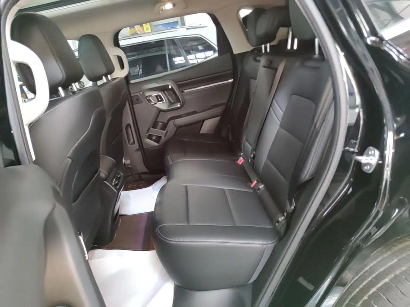 Haval H Dog 2023 2.0T All-Wheel-Drive Chaoye Plus — миниатюра 20