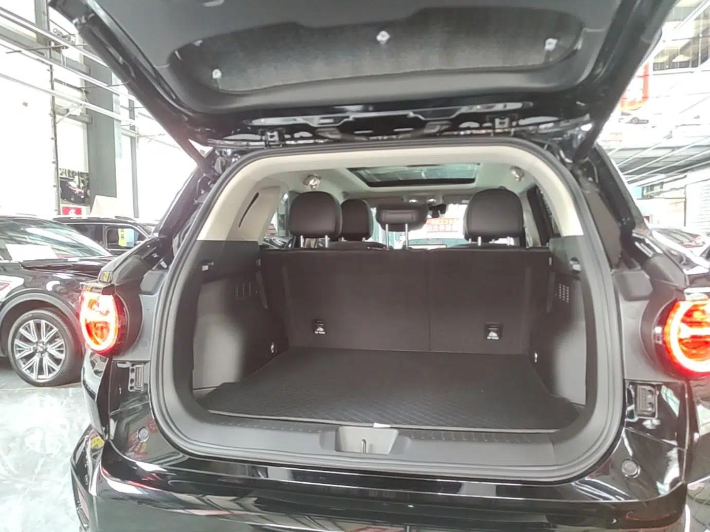 Haval H Dog 2023 2.0T All-Wheel-Drive Chaoye Plus — миниатюра 22