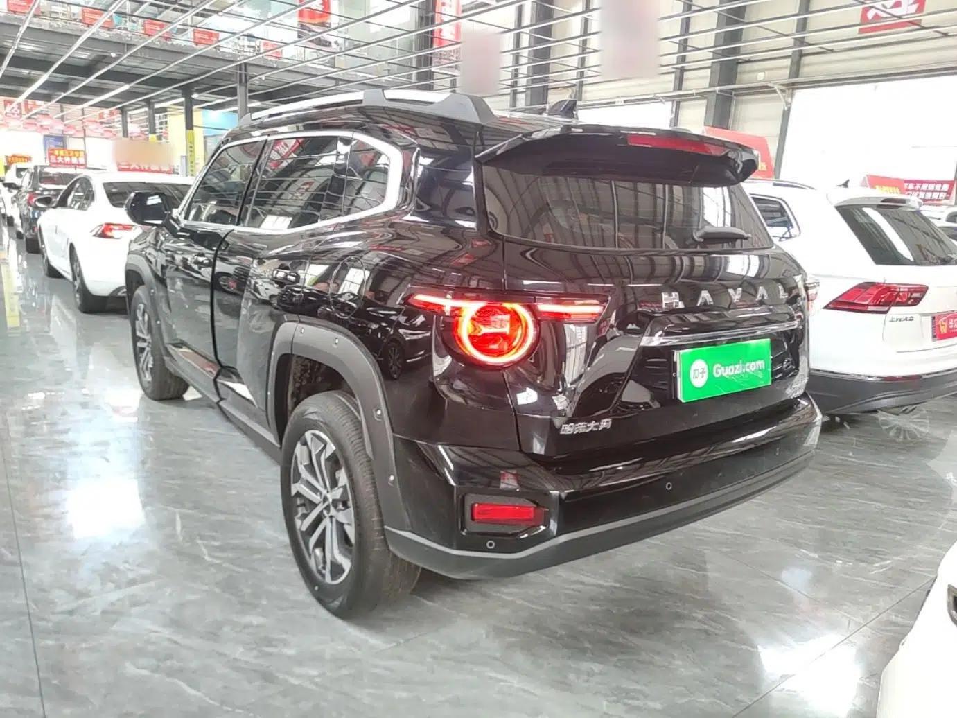 Haval H Dog 2023 2.0T All-Wheel-Drive Chaoye Plus — миниатюра 4