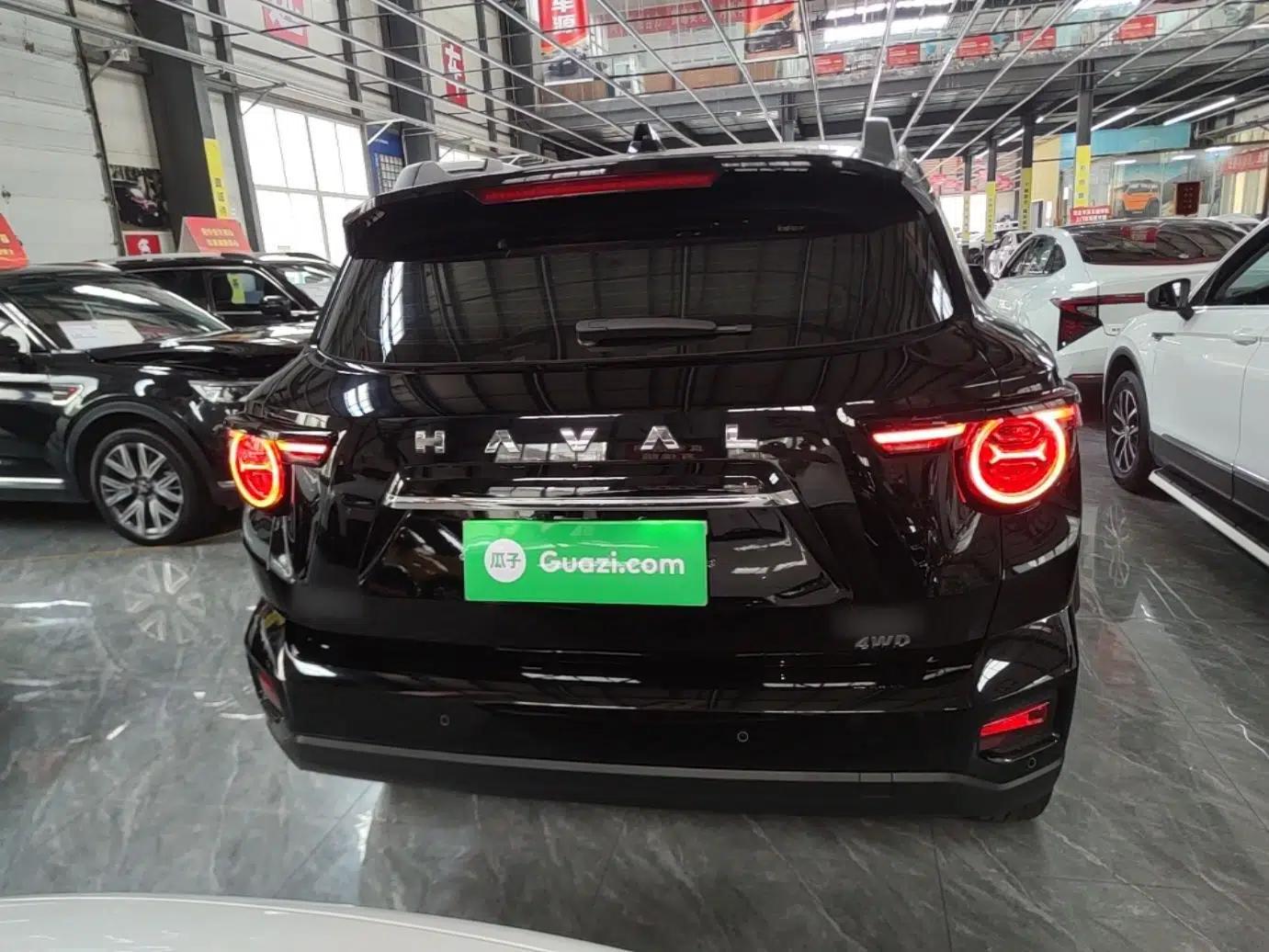 Haval H Dog 2023 2.0T All-Wheel-Drive Chaoye Plus — миниатюра 5