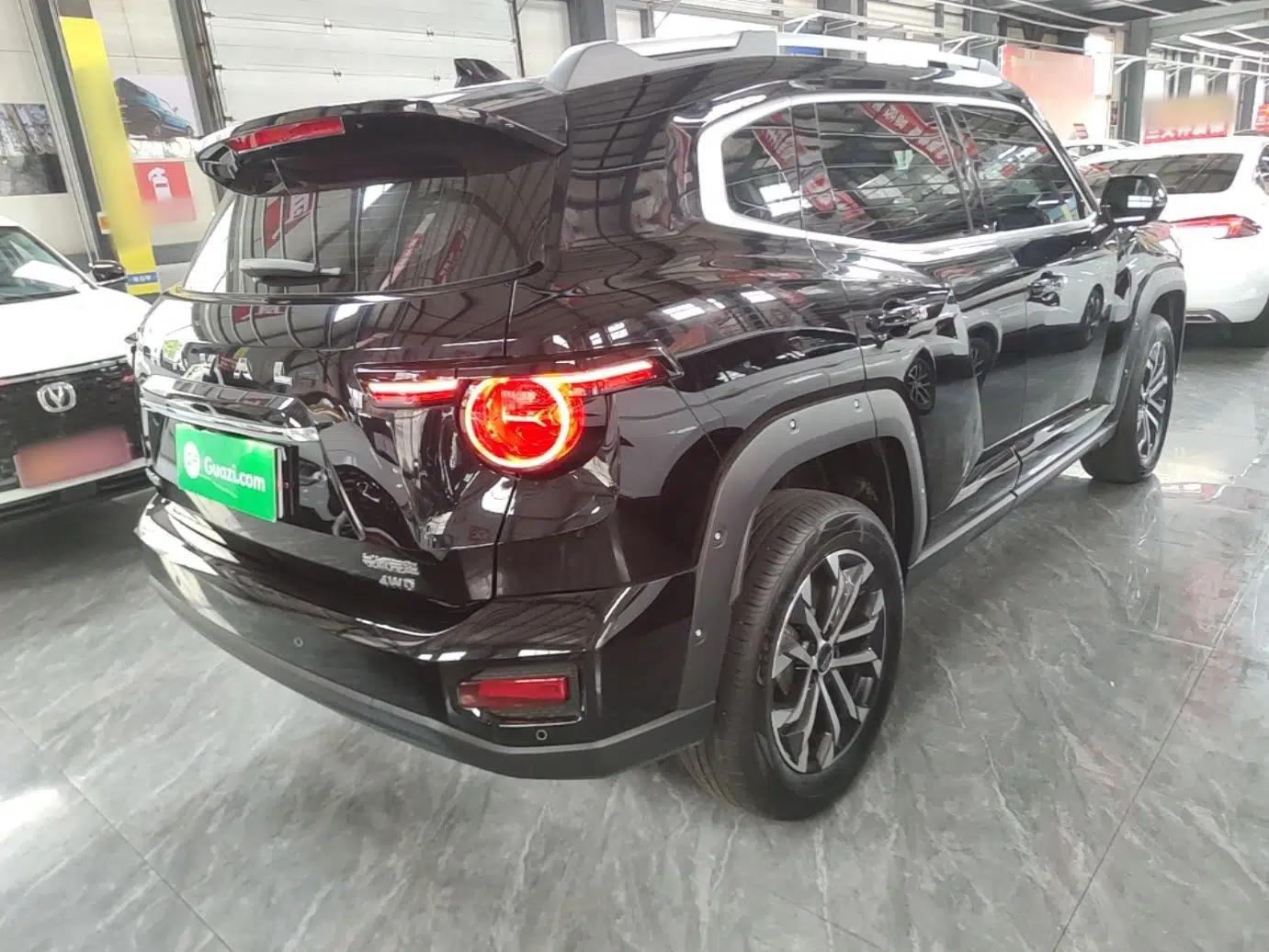 Haval H Dog 2023 2.0T All-Wheel-Drive Chaoye Plus — миниатюра 6