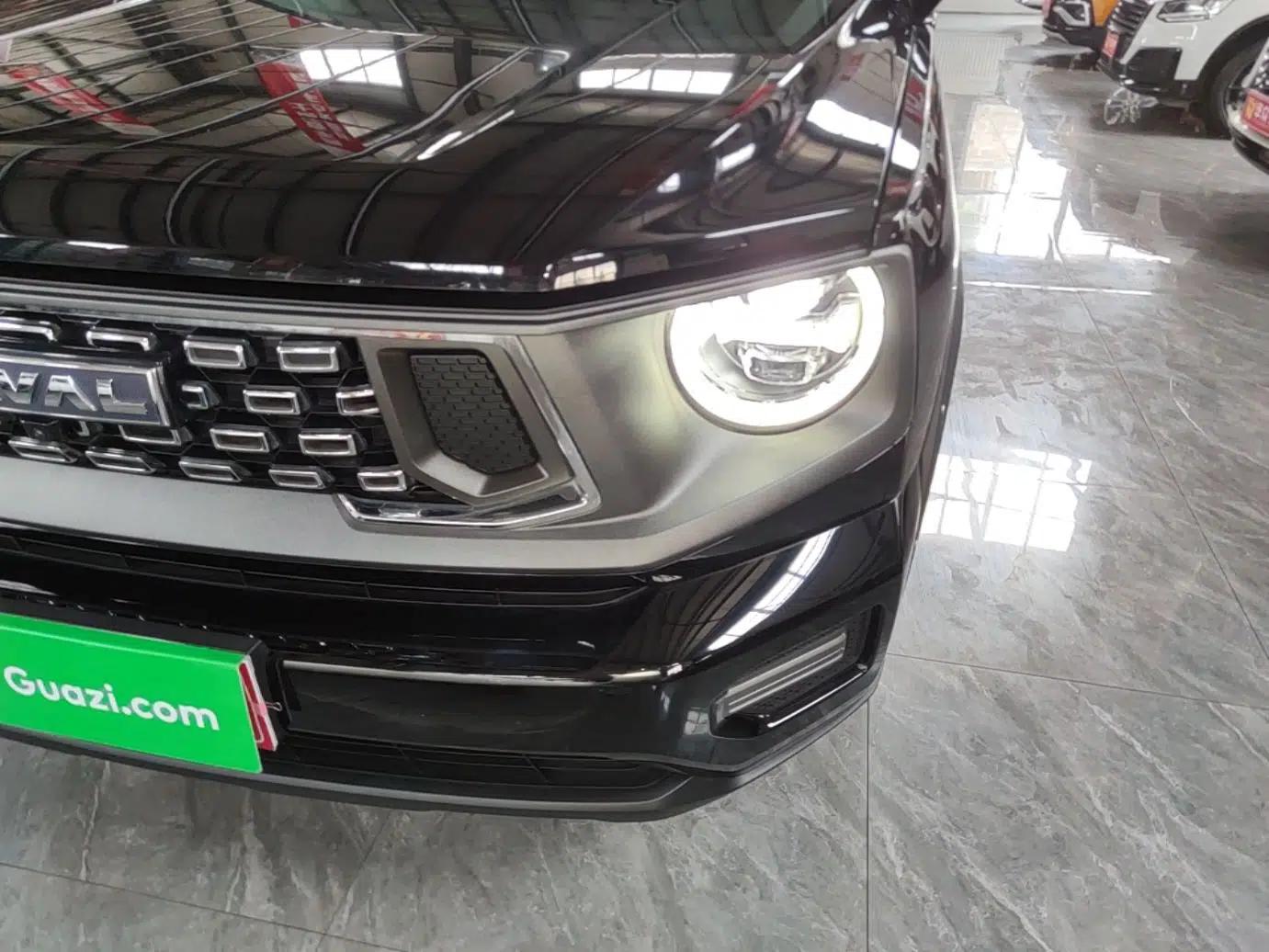 Haval H Dog 2023 2.0T All-Wheel-Drive Chaoye Plus — миниатюра 8