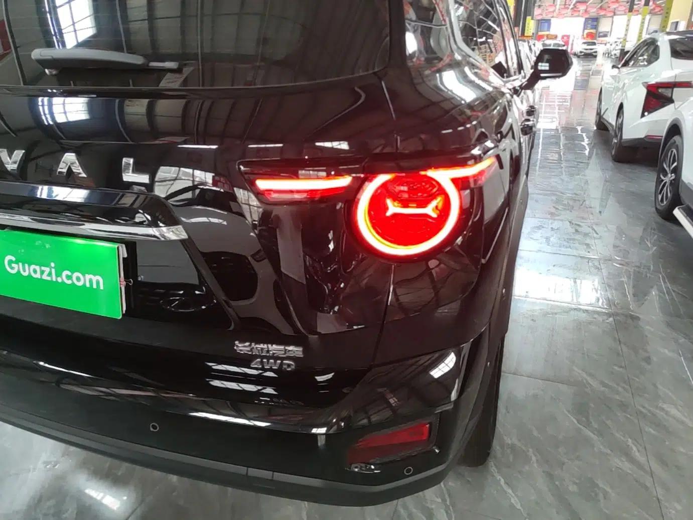 Haval H Dog 2023 2.0T All-Wheel-Drive Chaoye Plus — миниатюра 9