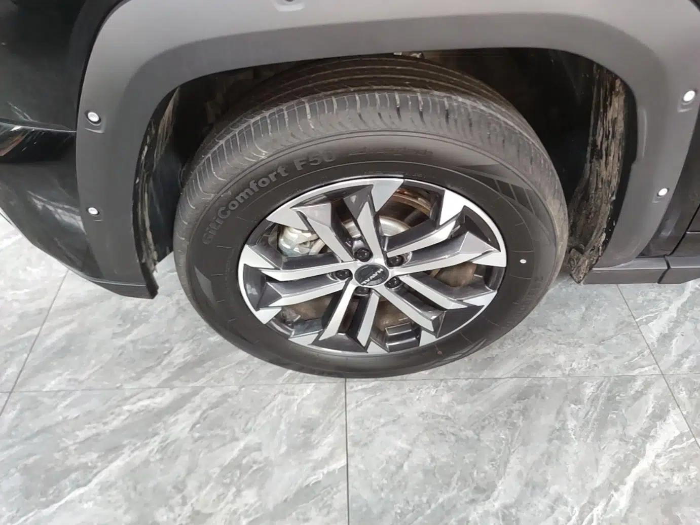 Haval H Dog 2023 2.0T All-Wheel-Drive Chaoye Plus — миниатюра 10