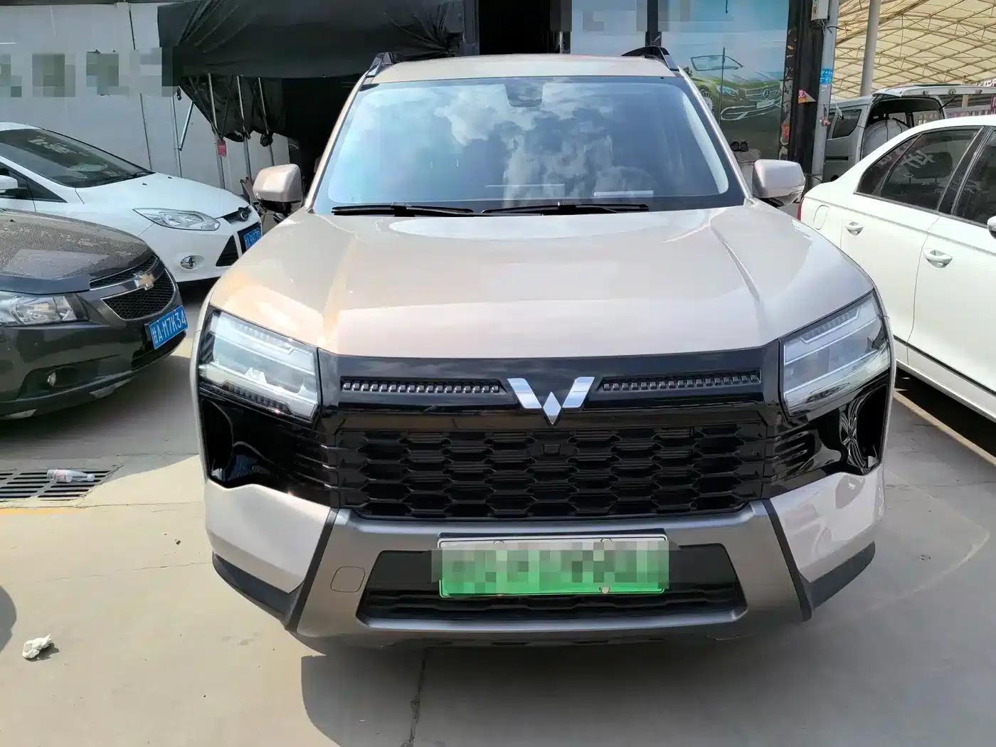 Starlight 560 New Energy 2026 Plug-in Hybrid 125km/h Luxury Model — миниатюра 2