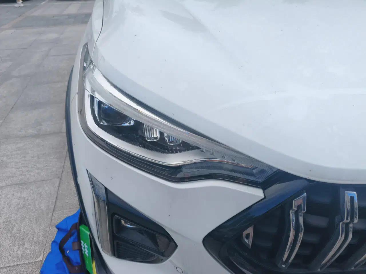 Haval LHERY 2021 GT Edition 1.5T Platinum Rabbit — миниатюра 7