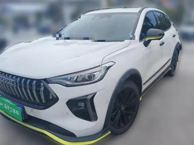 Haval LHERY 2021 GT Edition 1.5T Platinum Rabbit