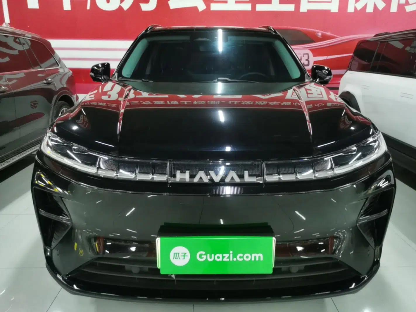 Haval Fierce Dragon Max 2025 Hi4 110 Pro — миниатюра 2