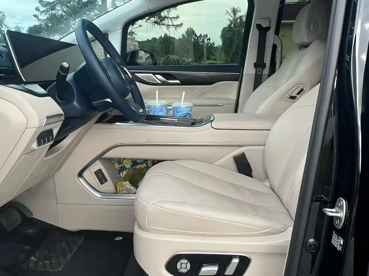 Weipai Gaoshan 2023 4WD Executive Extended Edition — миниатюра 4
