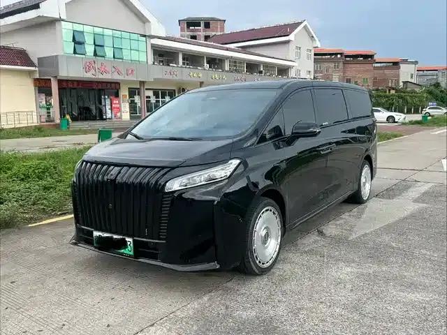 Weipai Gaoshan 2023 4WD Executive Extended Edition