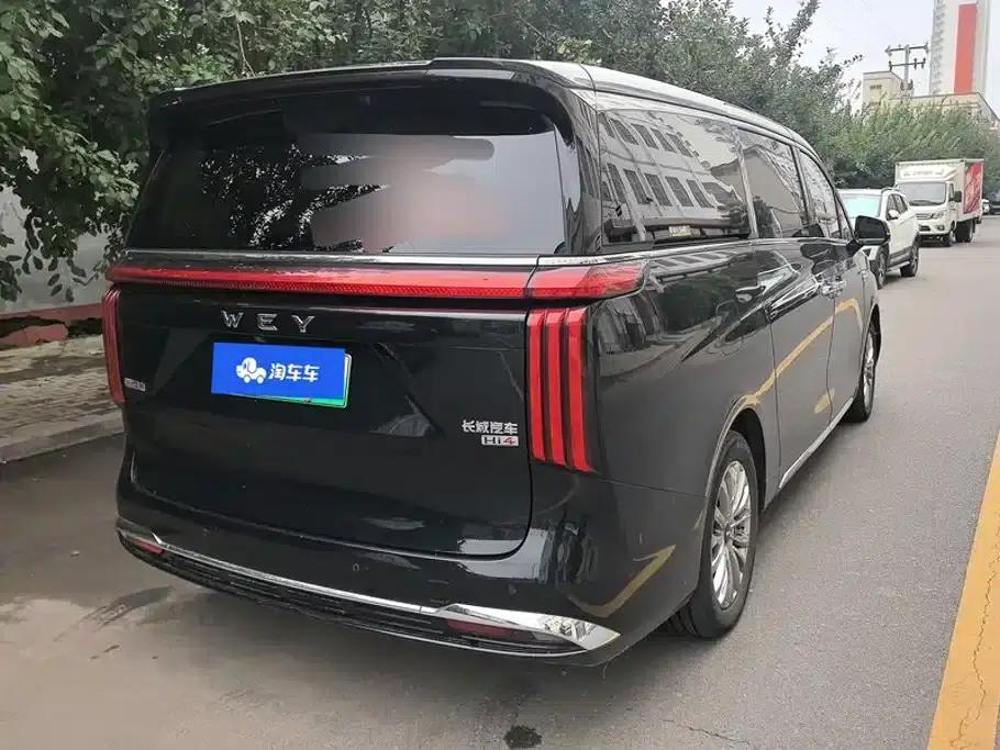 Weipai Gaoshan 2023 4WD Executive Extended Edition — миниатюра 3