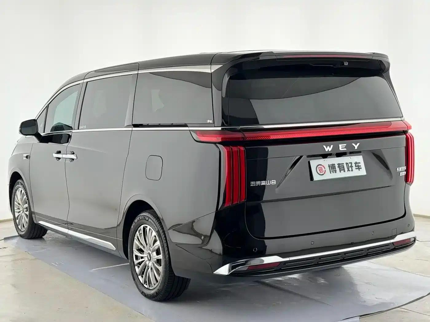 Weipai Gaoshan 2025 Model 4WD Gaoshan 8 — миниатюра 11