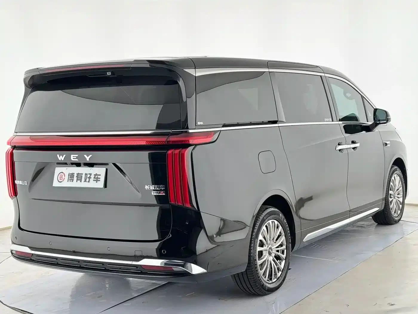 Weipai Gaoshan 2025 Model 4WD Gaoshan 8 — миниатюра 13