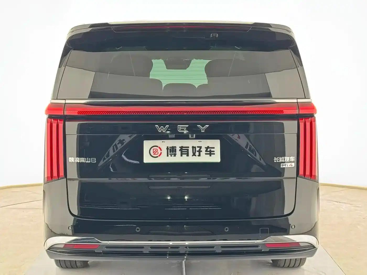 Weipai Gaoshan 2025 Model 4WD Gaoshan 8 — миниатюра 8