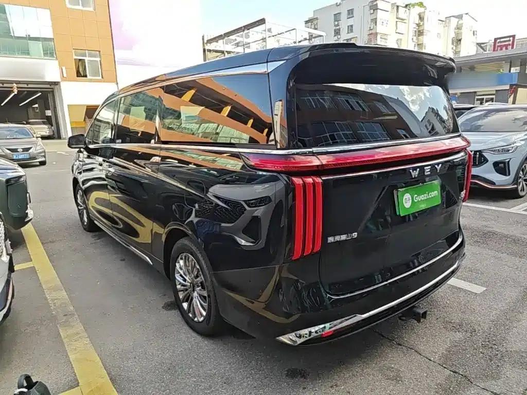 Weipai Gaoshan 2023 4WD Executive Extended Edition — миниатюра 5