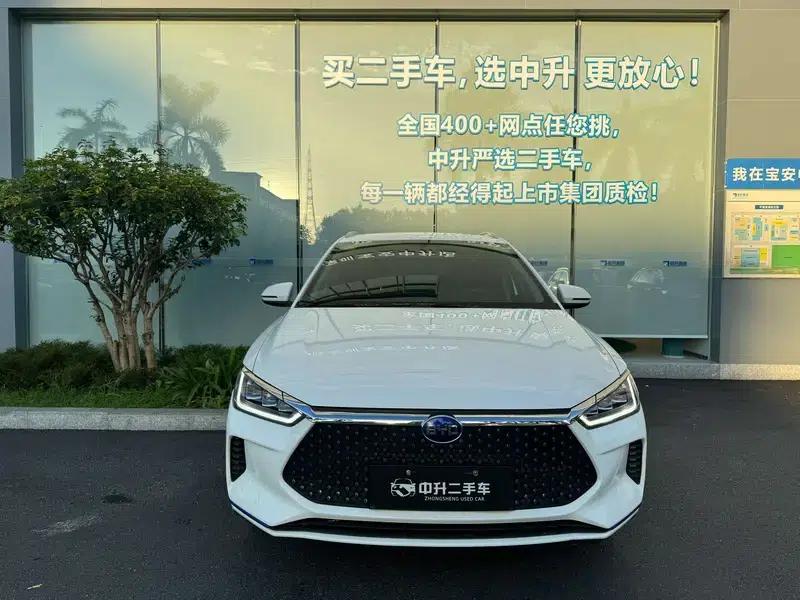BYD e2 2021 Luxury Edition — миниатюра 2
