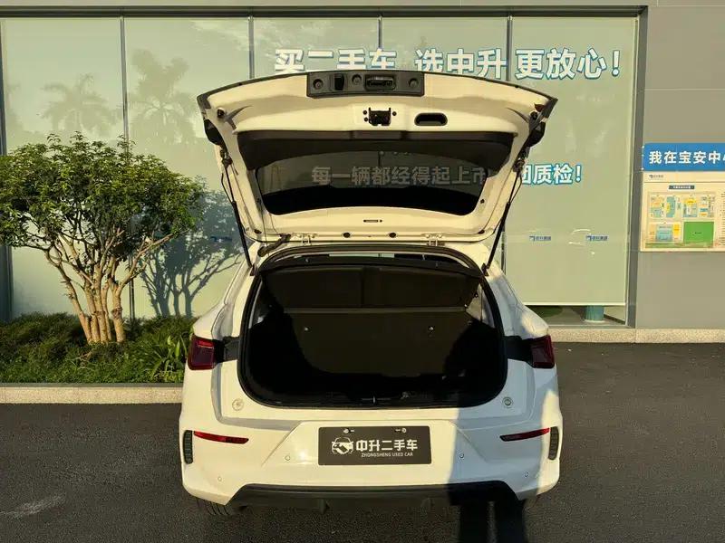 BYD e2 2021 Luxury Edition — миниатюра 6
