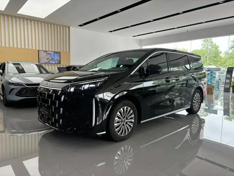 BYD M9 2025 1060 Navigator Edition — миниатюра 1
