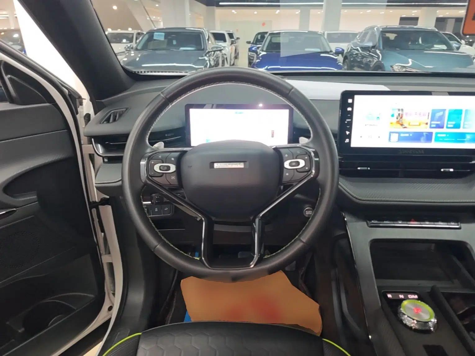 Haval H6S 2022 2.0T Two-Wheel Drive ZhiRun Version — миниатюра 13
