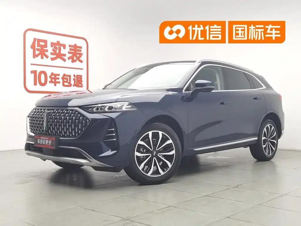 Wei brand Mocha 2021 2.0T 2WD Extra Rich Edition — миниатюра 1