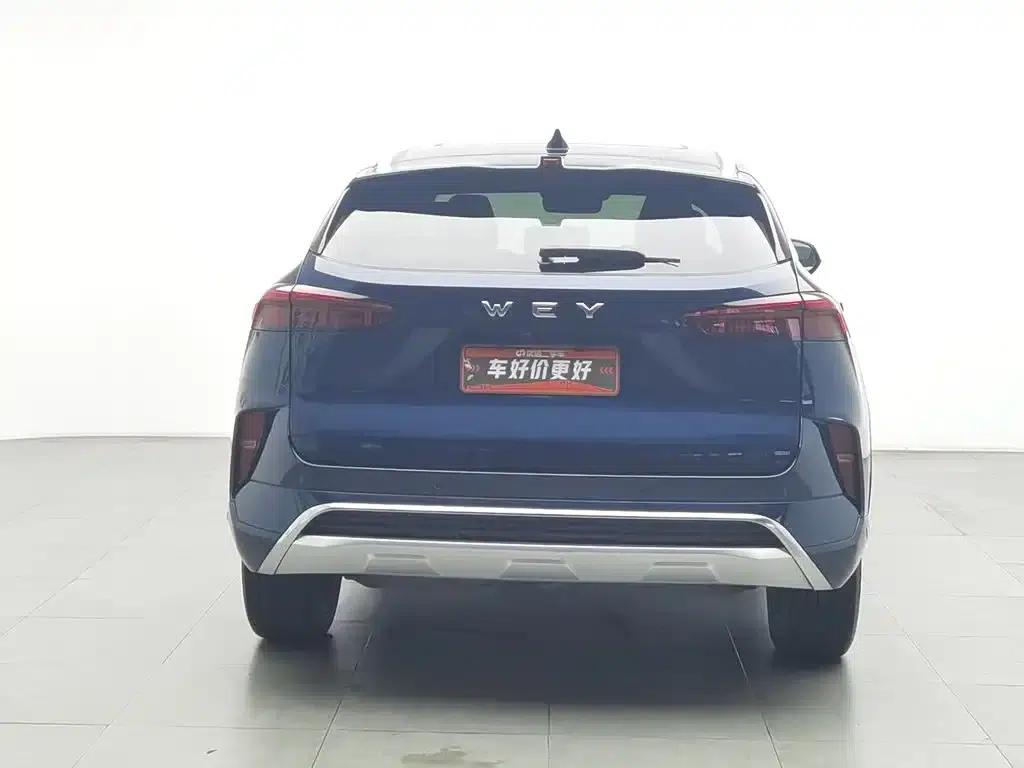 Wei brand Mocha 2021 2.0T 2WD Extra Rich Edition — миниатюра 4