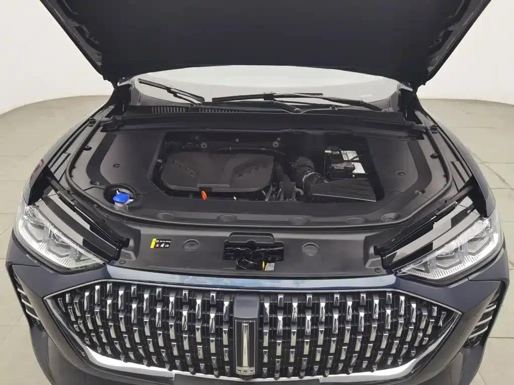 Wei brand Mocha 2021 2.0T 2WD Extra Rich Edition — миниатюра 6