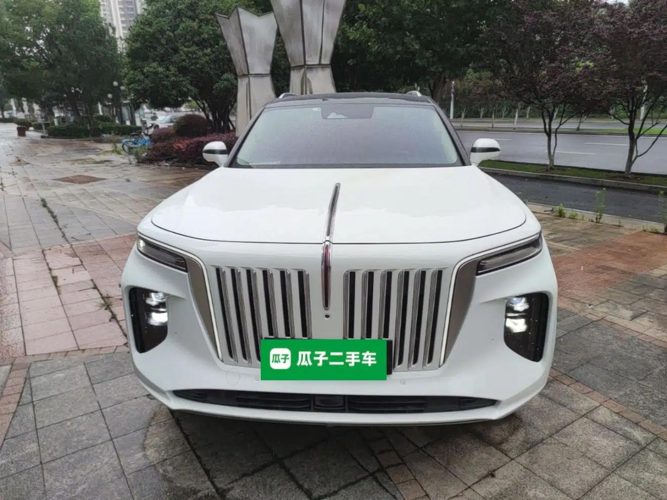 Hongqi E-HS9 2021 510 km Range Flagway Edition Six Seats — миниатюра 2