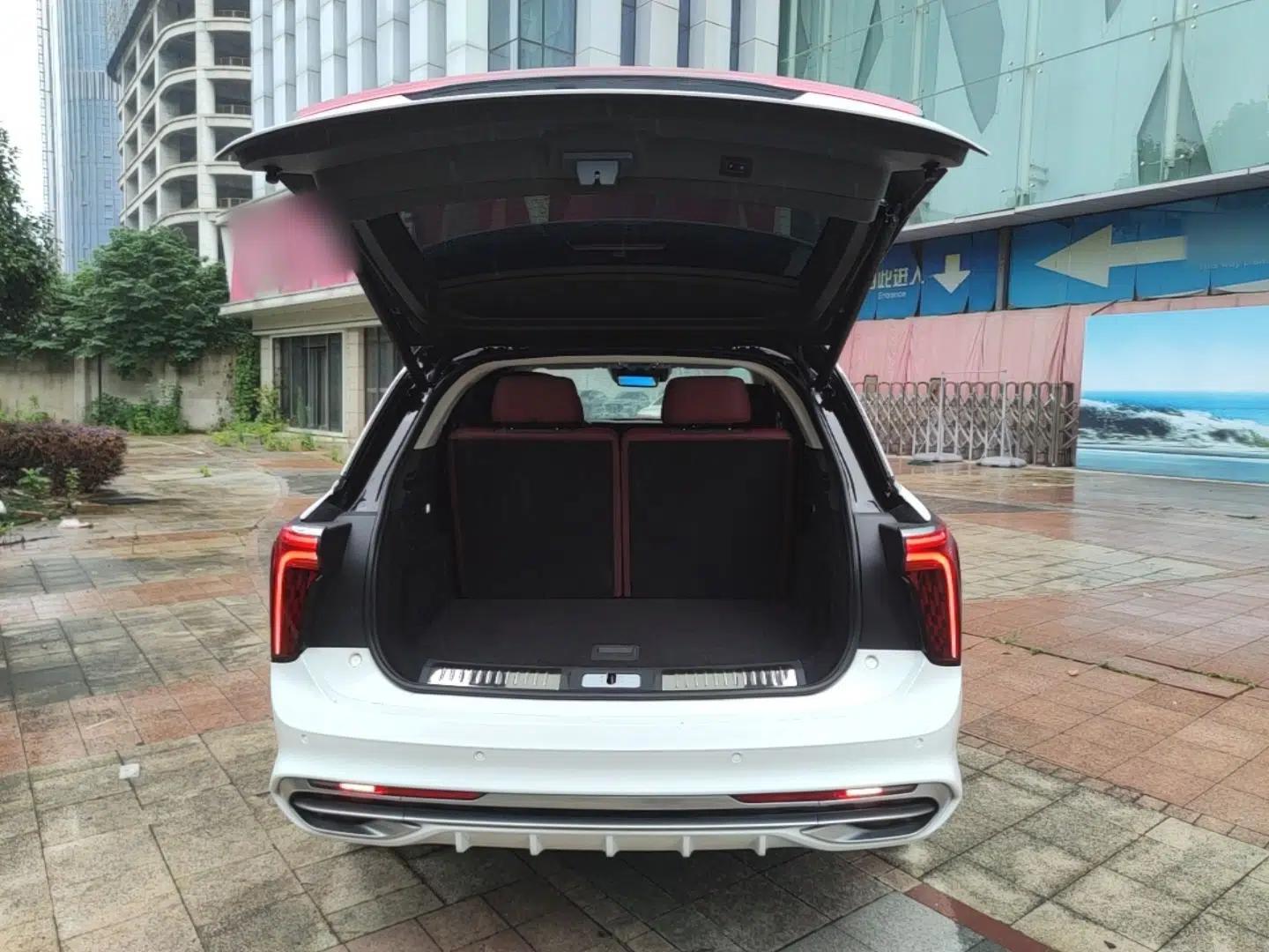 Hongqi E-HS9 2021 510 km Range Flagway Edition Six Seats — миниатюра 22