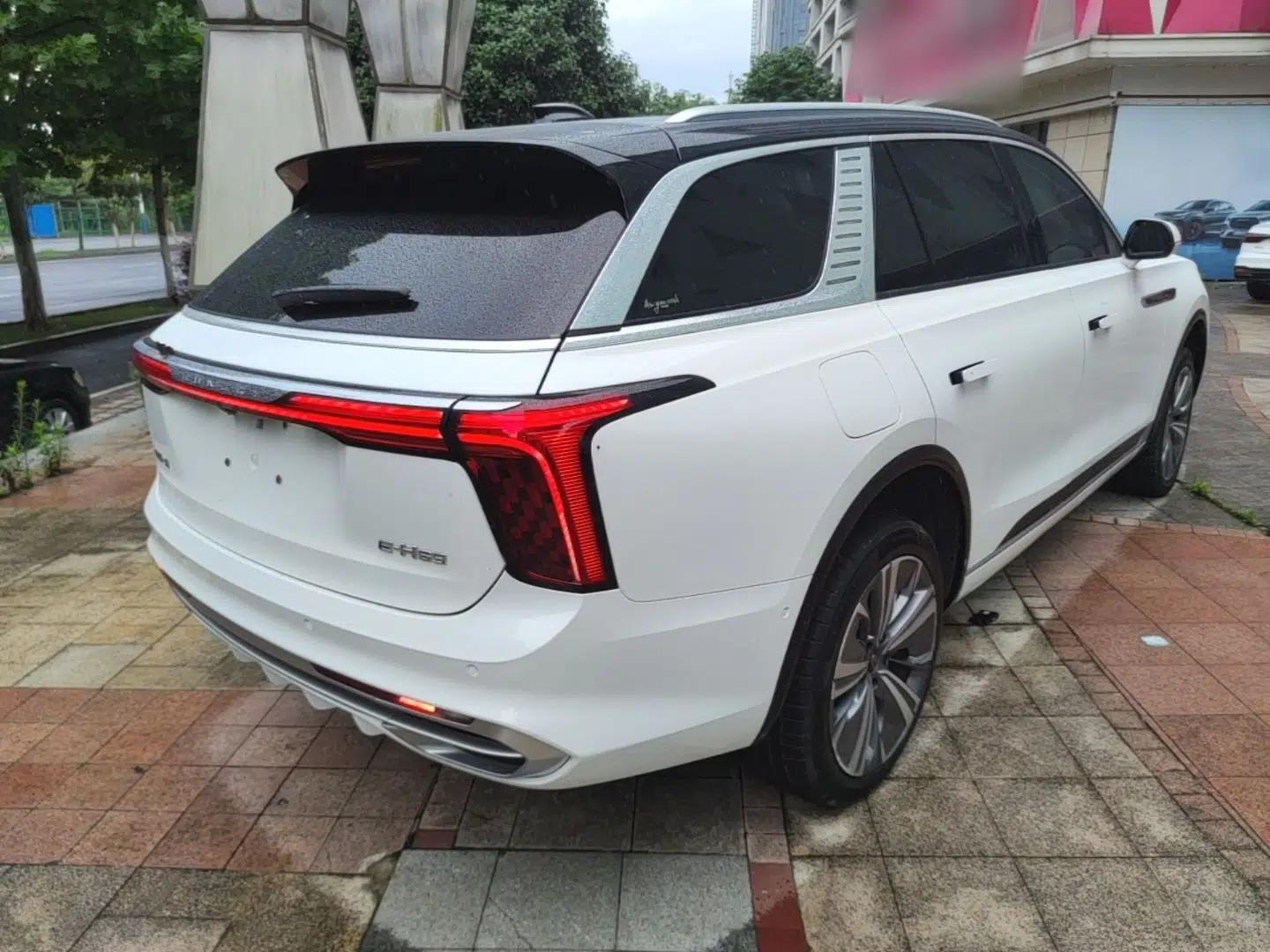 Hongqi E-HS9 2021 510 km Range Flagway Edition Six Seats — миниатюра 6