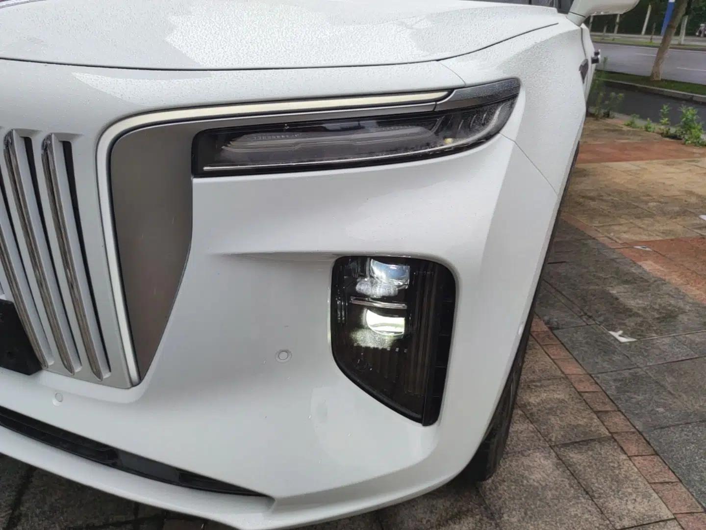 Hongqi E-HS9 2021 510 km Range Flagway Edition Six Seats — миниатюра 8